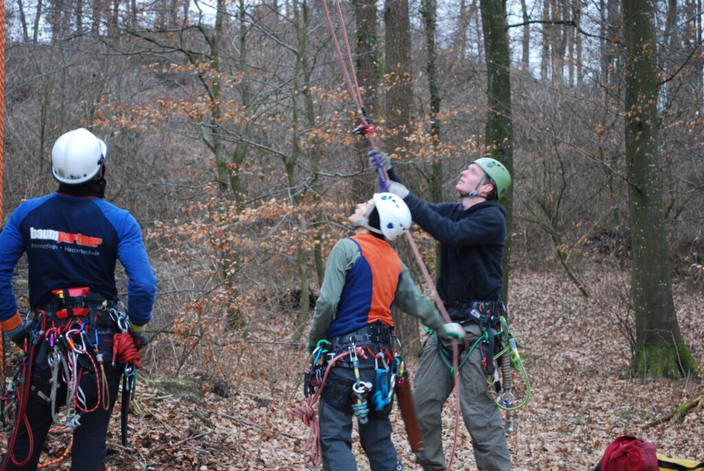 Exercice de grimpe en forêt