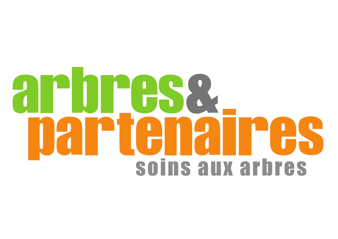 arbres et partenaires, spécialistes en soins aux arbres
